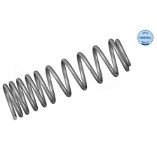 Suspension Spring MEYLE 100 739 0010
