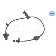 Sensor
