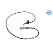 Sensor