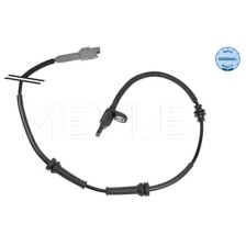 Sensor