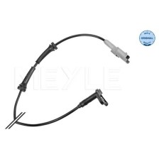 Sensor