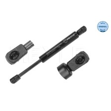 Gas Spring