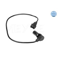Sensor
