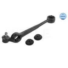 Control Arm/Trailing Arm