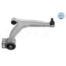 Control Arm/Trailing Arm