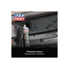 Underbody anti-corrosion protection LIQUI MOLY 6111 - 5