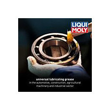 Smērviela LIQUI MOLY 3552 | Oiler