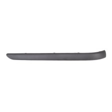 Trim/Protective Strip