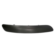 Trim/Protective Strip