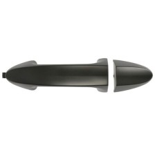 Door Handle BLIC 6010-03-046402P
