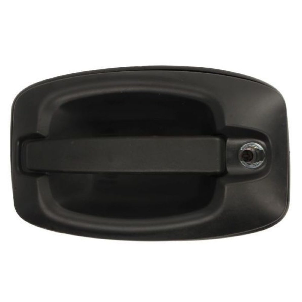 Door Handle BLIC 6010-30-003401P