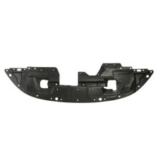 Engine Cover BLIC 6601-02-5591880P
