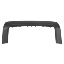 Licence Plate Holder BLIC 5703-05-9060921P
