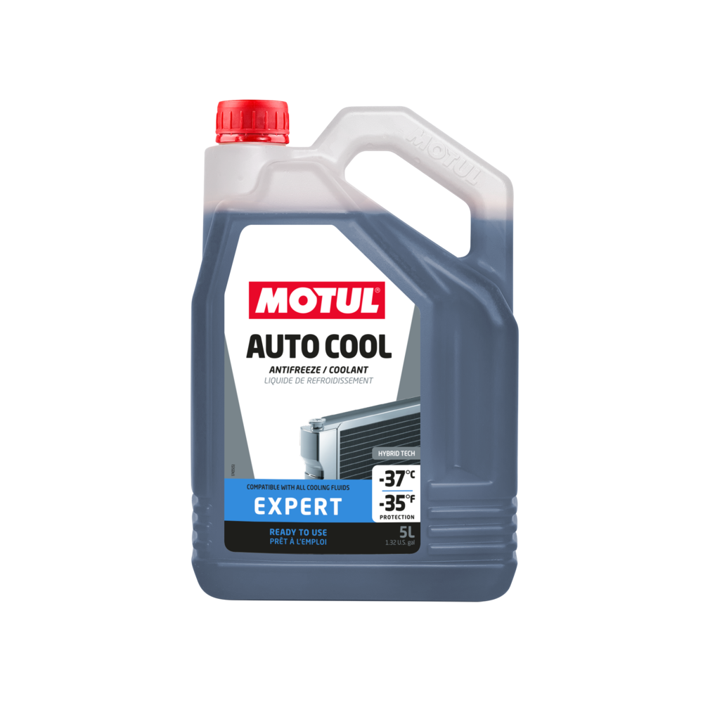 Antifreeze MOTUL INGUEL EXPERT -37o 5L | Oiler