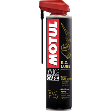 Rust solvent MOTUL 102991
