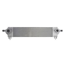Intercooler THERMOTEC DA1002TT