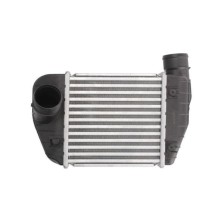 Intercooler THERMOTEC DAA013TT