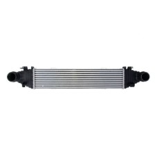 Intercooler THERMOTEC DAM009TT