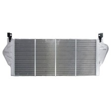 Intercooler THERMOTEC DAR010TT