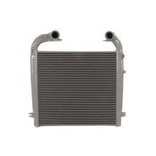 Intercooler THERMOTEC DASC008TT