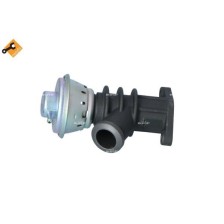 EGR Valve NRF 48387
