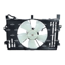 Fan