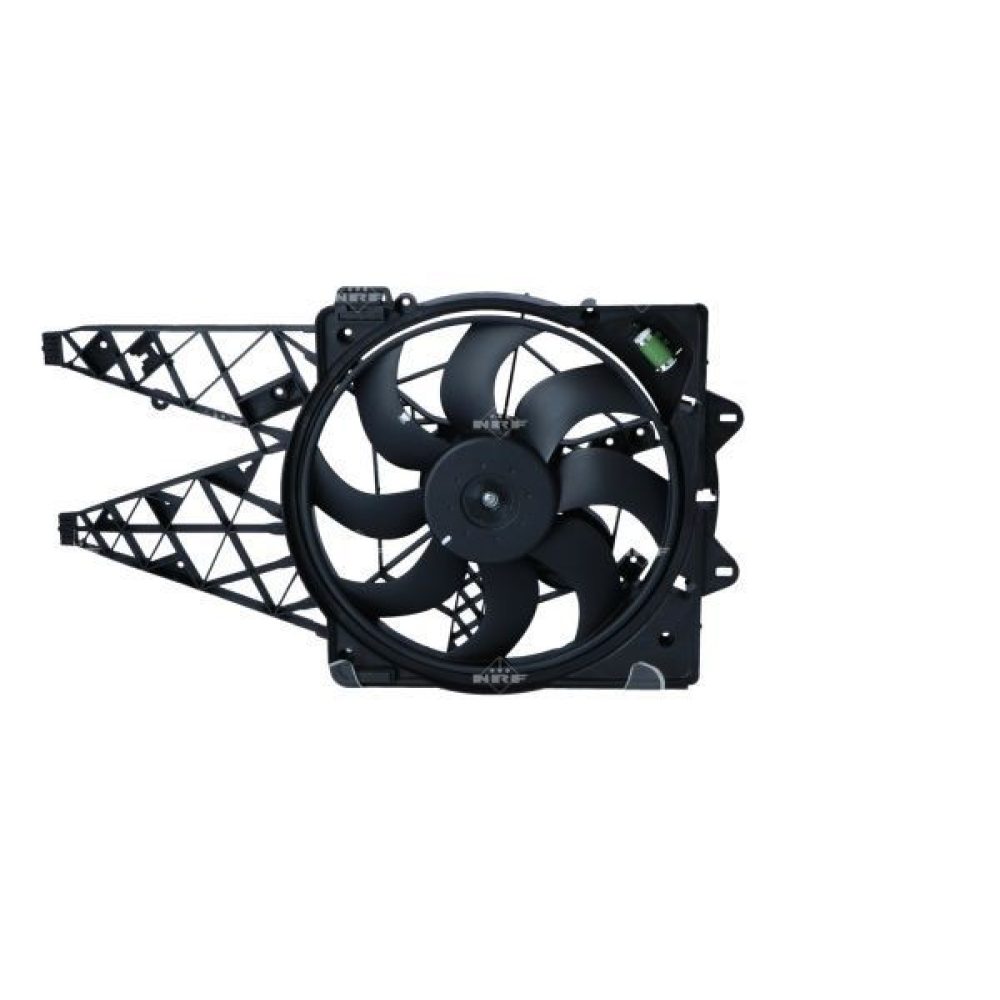 Fan