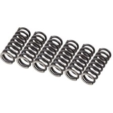 Clutch Spring Set TRW MEF155-6
