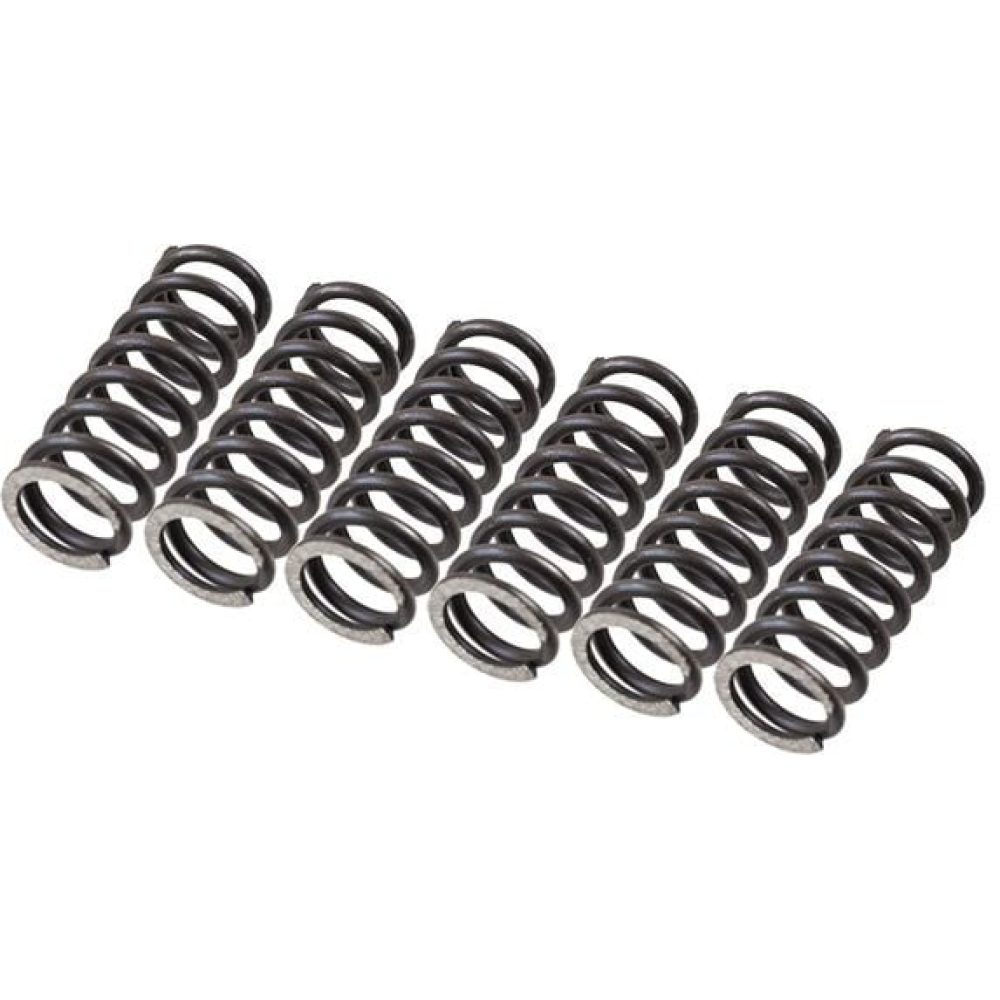 Clutch Spring Set TRW MEF155-6