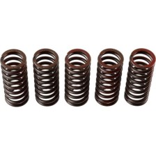 Clutch Spring Set TRW MEF304-5