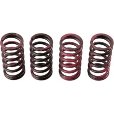 Clutch Spring Set TRW MEF311-4