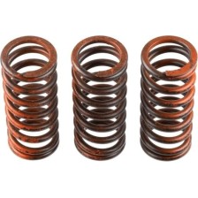 Clutch Spring Set TRW MEF324-3