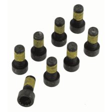 Bolt Kit