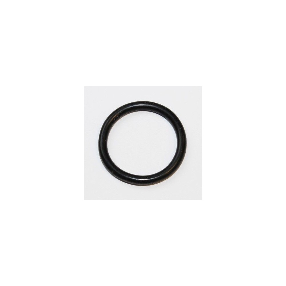 Seal Ring ELRING 255.550