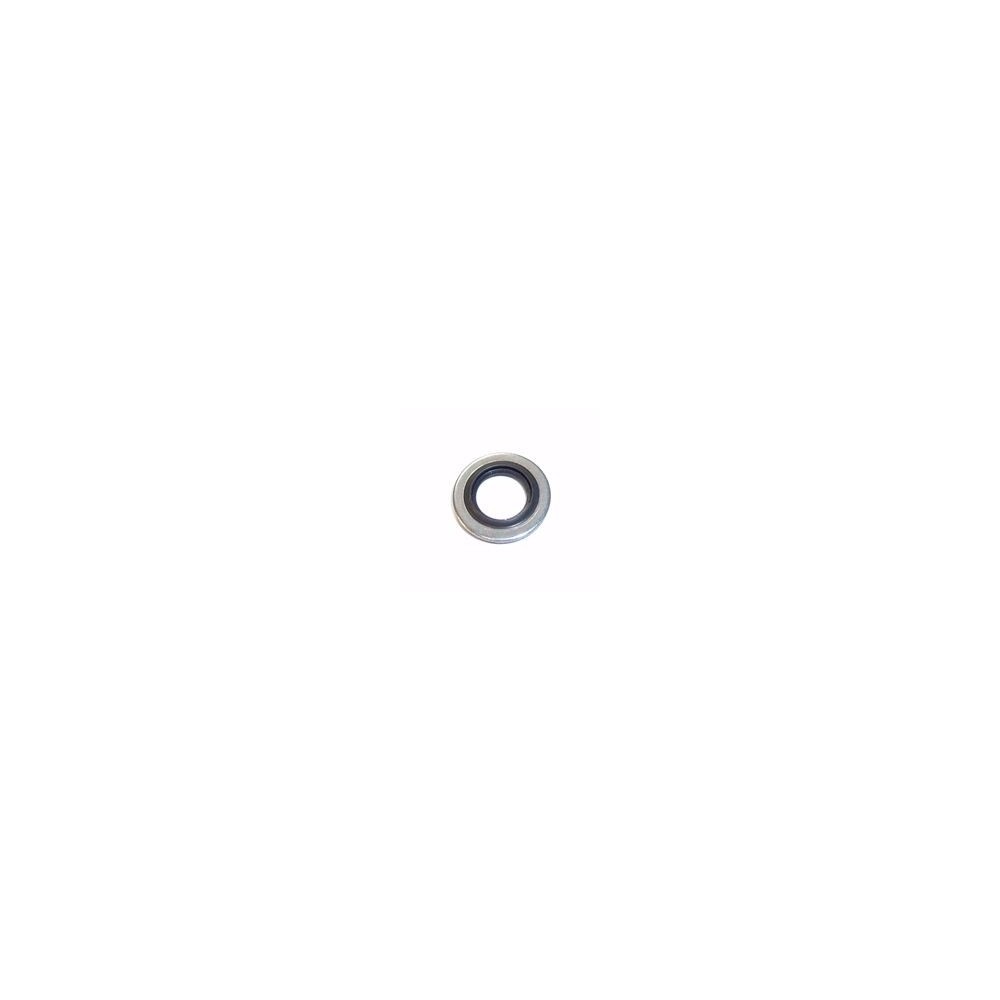 Seal Ring ELRING 376.620