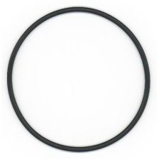Seal Ring ELRING 493.270