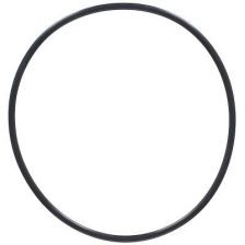Seal Ring ELRING 794.570