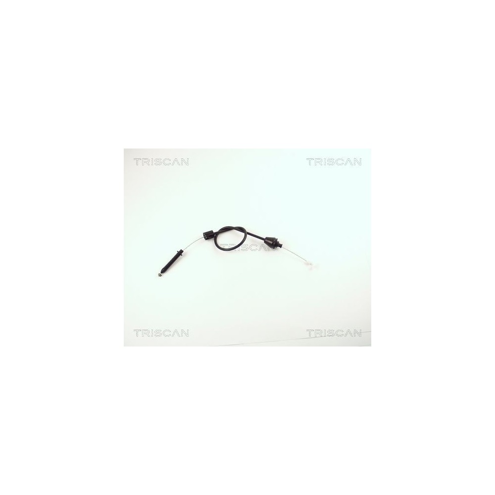 Accelerator Cable TRISCAN 8140 25318