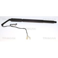 Gas Spring