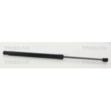 Gas Spring