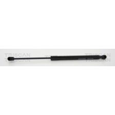 Gas Spring