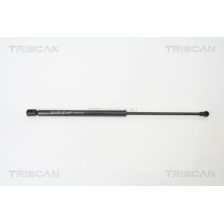 Gas Spring