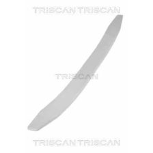 Leaf Spring TRISCAN 8765 10009