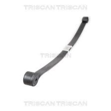 Leaf Spring TRISCAN 8765 16040