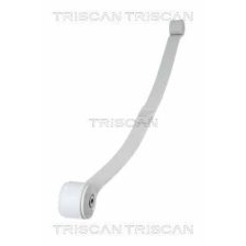 Leaf Spring TRISCAN 8765 16048