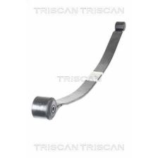 Leaf Spring TRISCAN 8765 16049