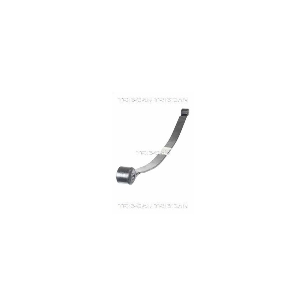Leaf Spring TRISCAN 8765 16049