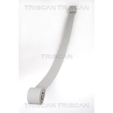 Leaf Spring TRISCAN 8765 23019