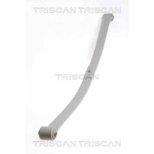 Leaf Spring TRISCAN 8765 29019
