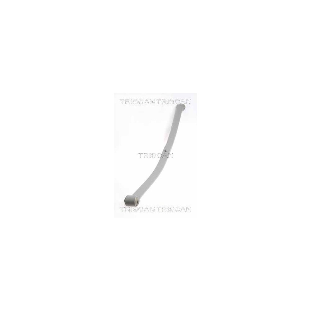 Leaf Spring TRISCAN 8765 29019